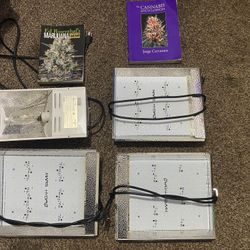 Grow Starter Setup 