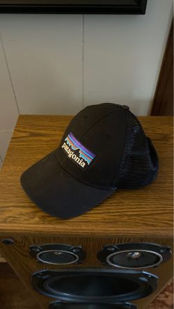 Patagonia trucker hat