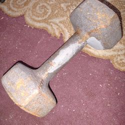 Dumbell 12 Lbs ( Single)