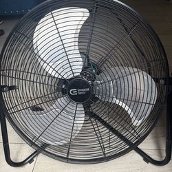 Fan