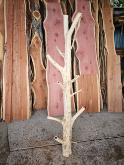 Cedar coat rack and Slabs