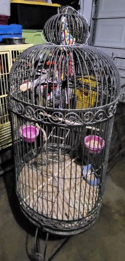 Bird Cages