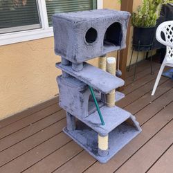 Cat House