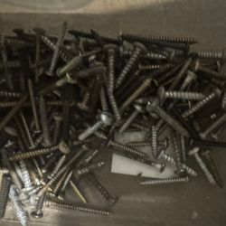 PHILLIP SCREWS