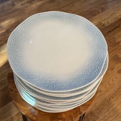 Dinner Plates