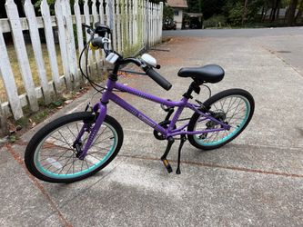 Guardian 20 Inch Large Bike