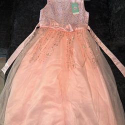 Girl pink dress/gown