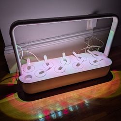 Click & Grow Smart Garden 9