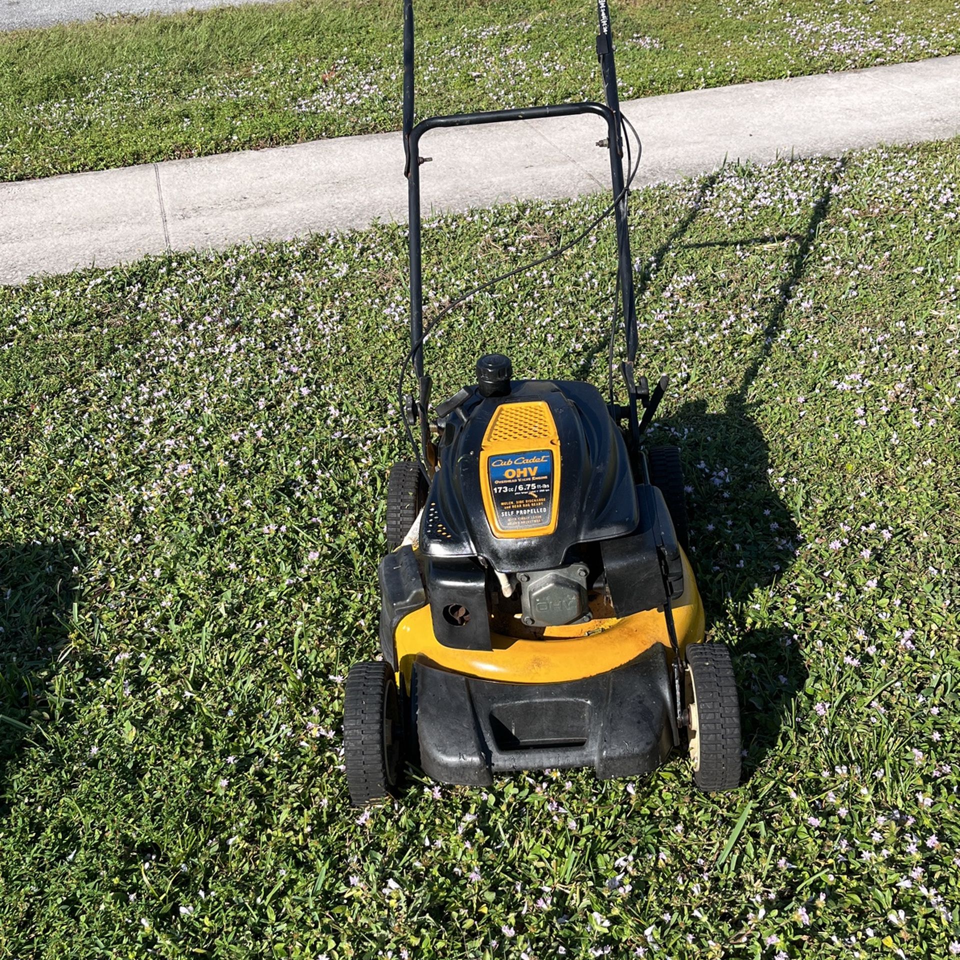 Lawn Mower 