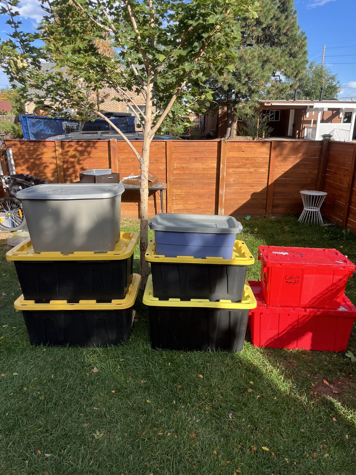 Storage bins with lids