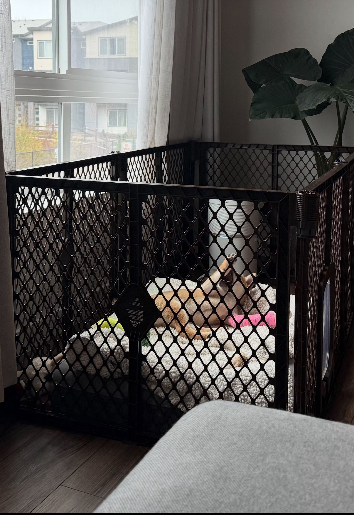 Pet Gate With Doggy Door