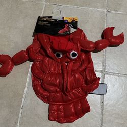 Dog Puppy Halloween Costume Size Medium Lobster