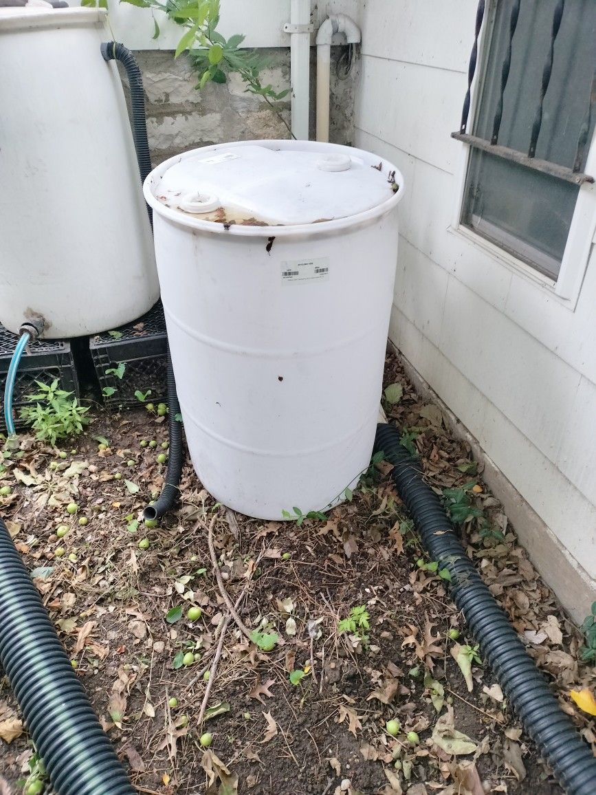 Rain Barrel