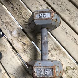 25 Lb Dumbbell 