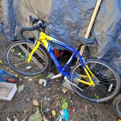 Bikes For Sale