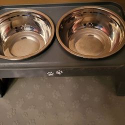 Pet Feeding Elevated Adjustable Bowls
