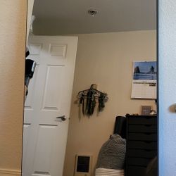 Echelon Fitness Mirror