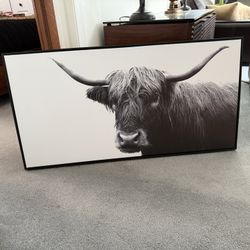 Bison Framed Canvas Print 24.5” X 47”