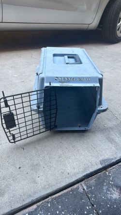 Free dog/cat carries