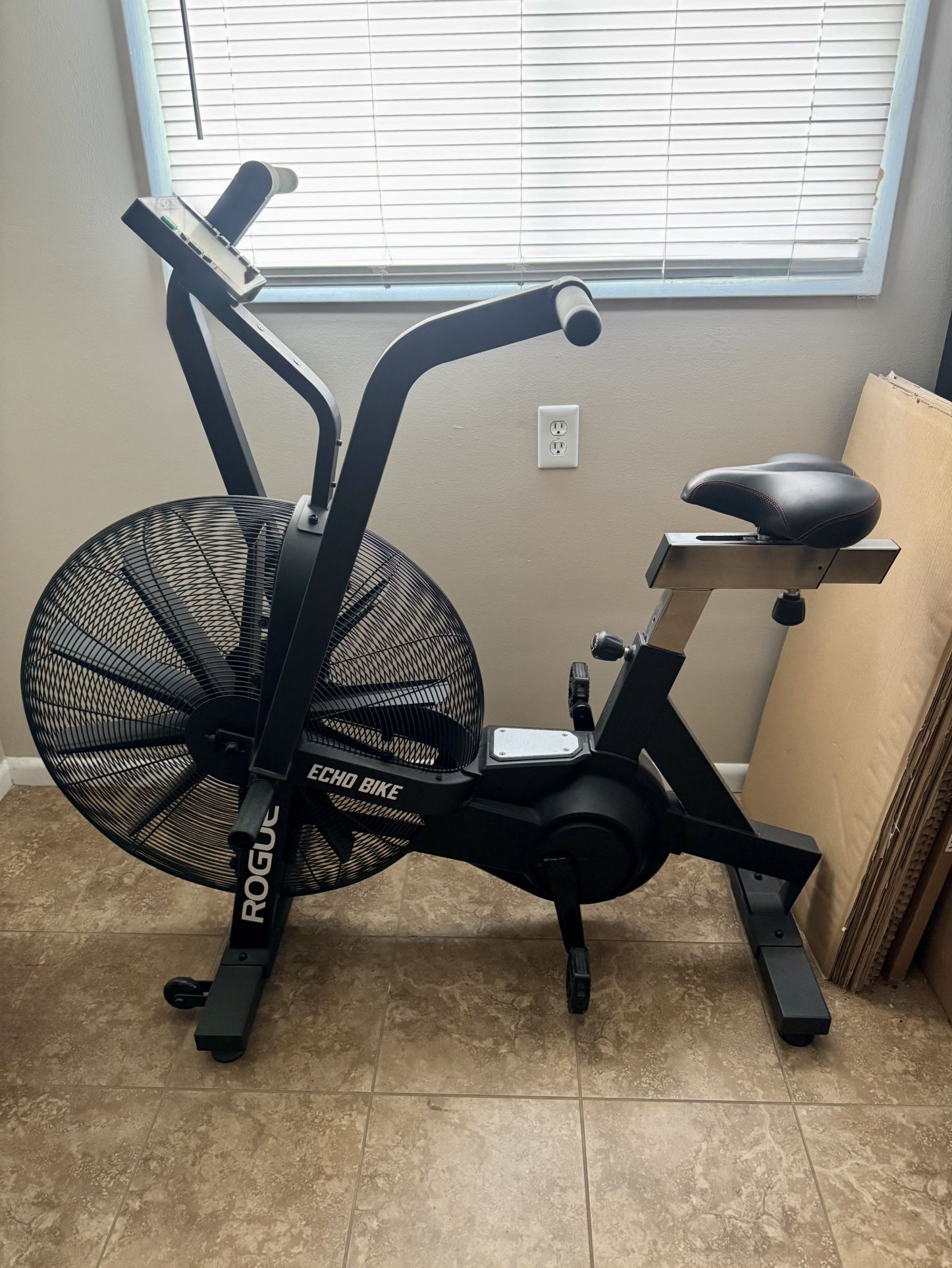 Rogue Echo Bike