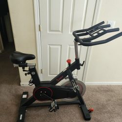 Sunny  Exercise Bike. 