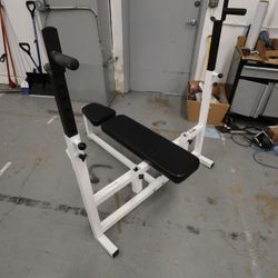 Used Parabody Serious Steel FI Olympic Bench Dip 807 Bodysystem Workout Center 807102 Home Gym Strength System