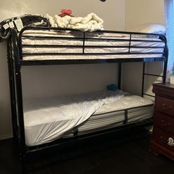 Bunk Beds