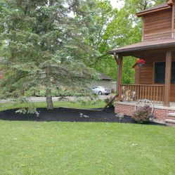 Landscape Care Ckean Ups Grass Cutting Mulch Planting Clean Up