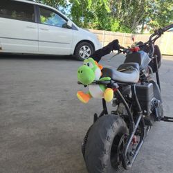 Mini Moto Monster Built 