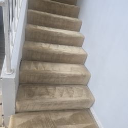 Carpet and sofas steam and deodorizer