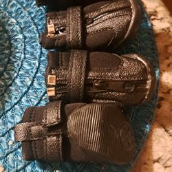 Xs Dog Shoes