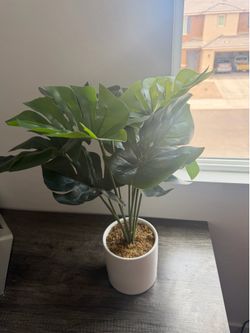 Fake plant