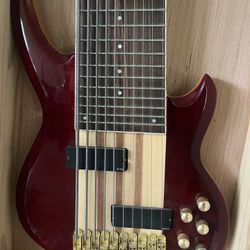 10 String Bass Guitar 