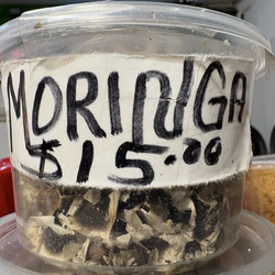 Moringa seeds