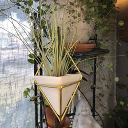 Plant Holder - Wall Planter- Plant Pot