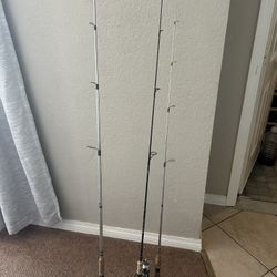 Fishing Rods & Reel 