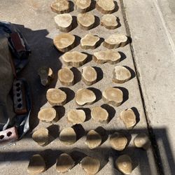 Eucalyptus Wood Live Edge Slice Cookie