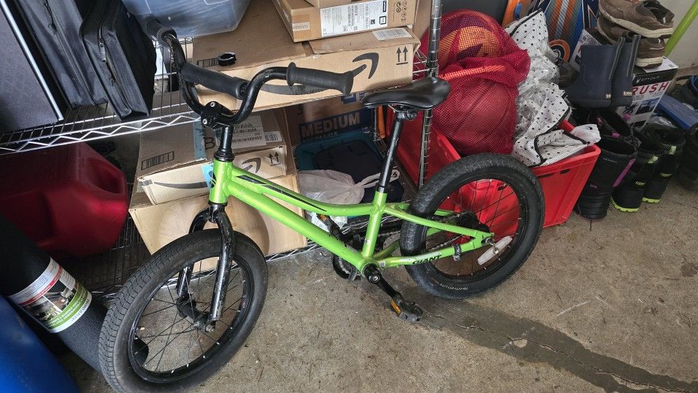 Giant 16 Inch Kids Bicycle + Training Wheels