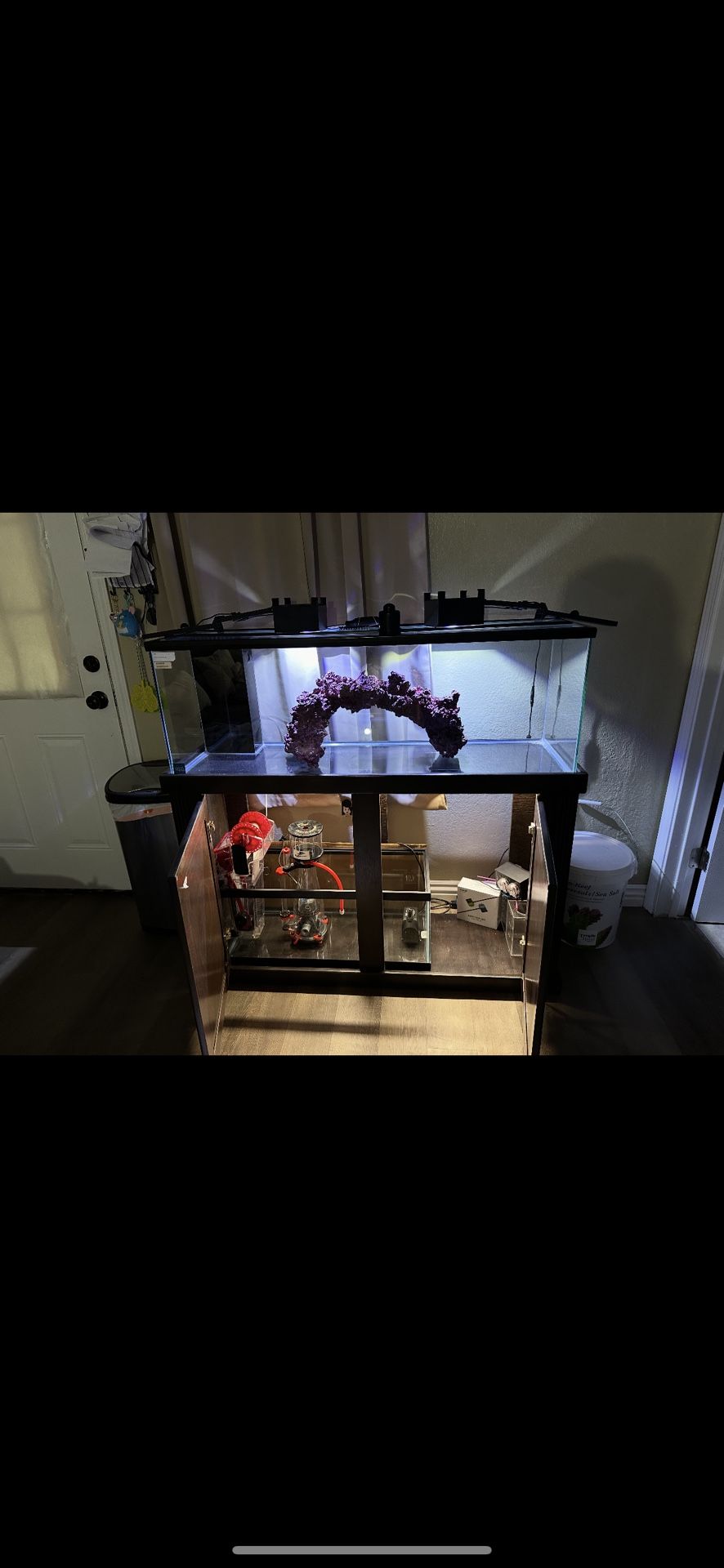 60 Gallon Fish Tank