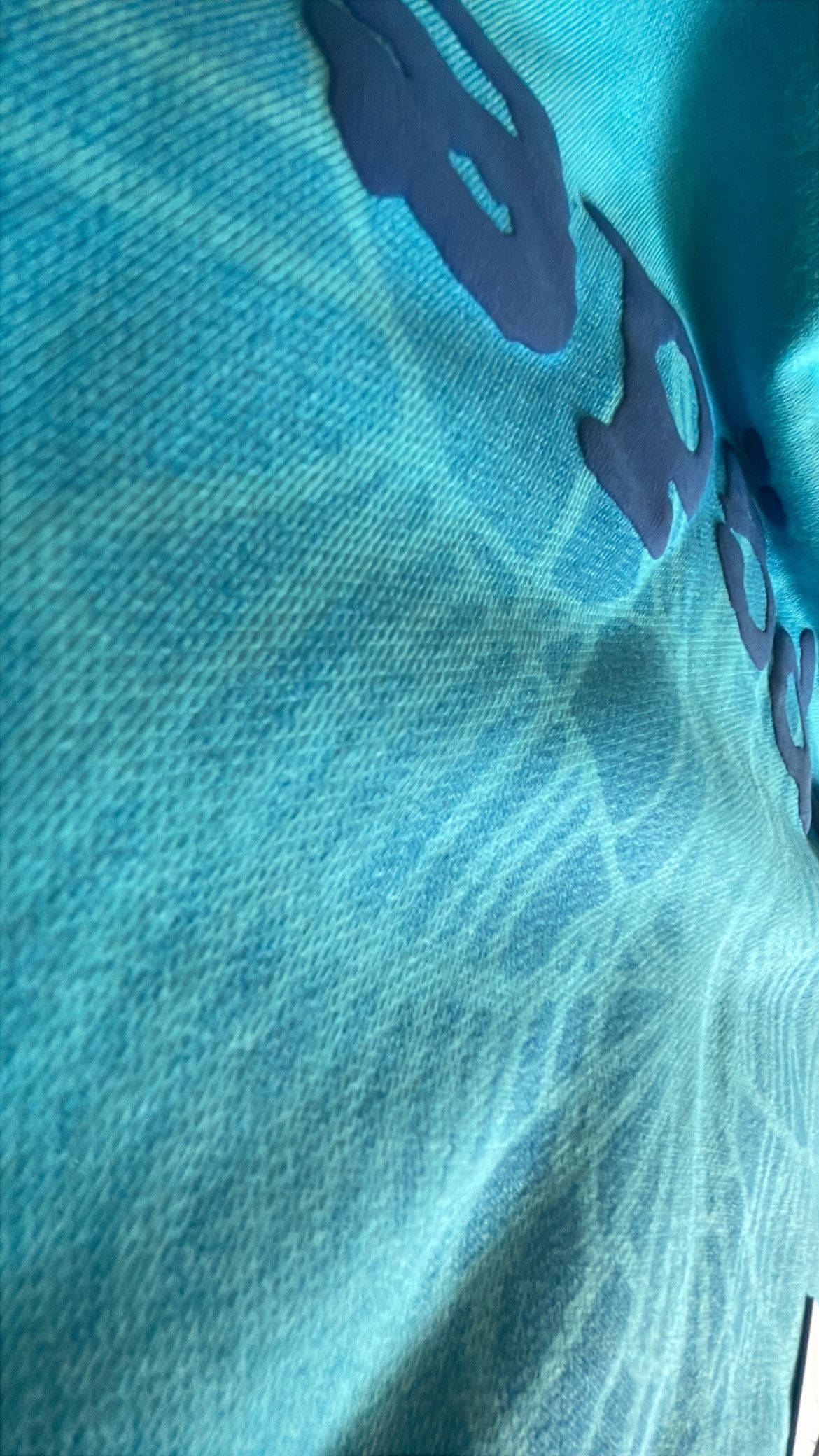 Blue Spider