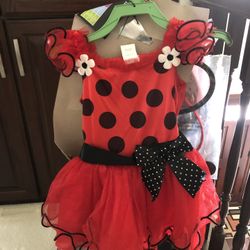 Ladybug Halloween Costume