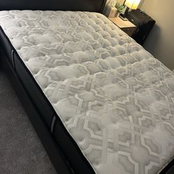 Queen Mattress - 13” Sealy Posturepedic