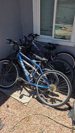 Bikes! Take all