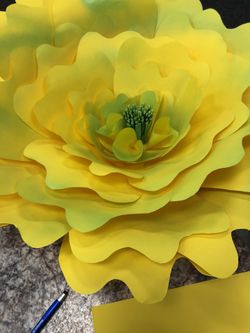 Large paper flowers. Party Shower Wedding or just to have on your door