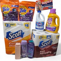 Mega Household Bundle – Tide, Scott, Clorox, Arm & Hammer + More