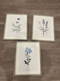 Paintings