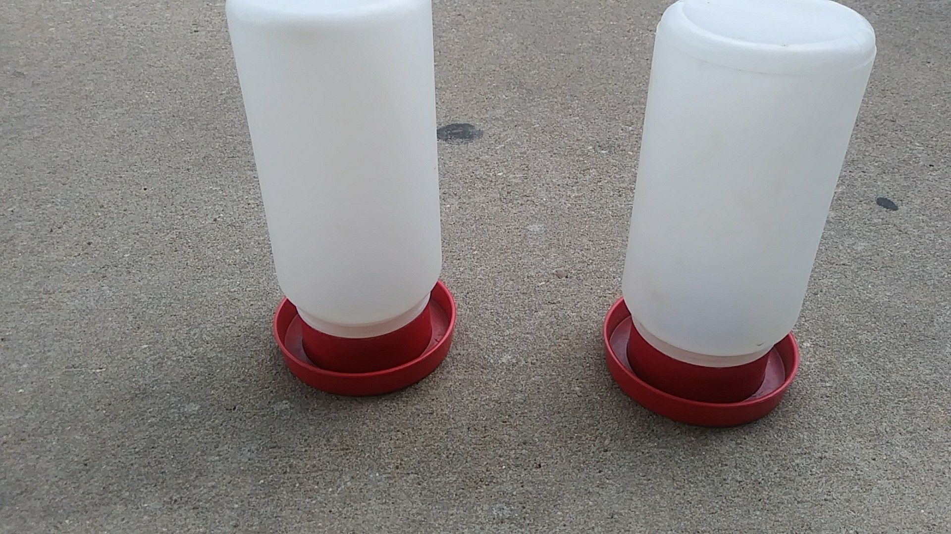 Water bottles for poultry
