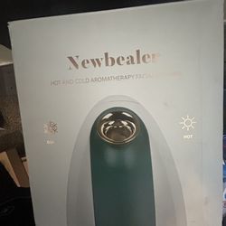 Facial Steamer 