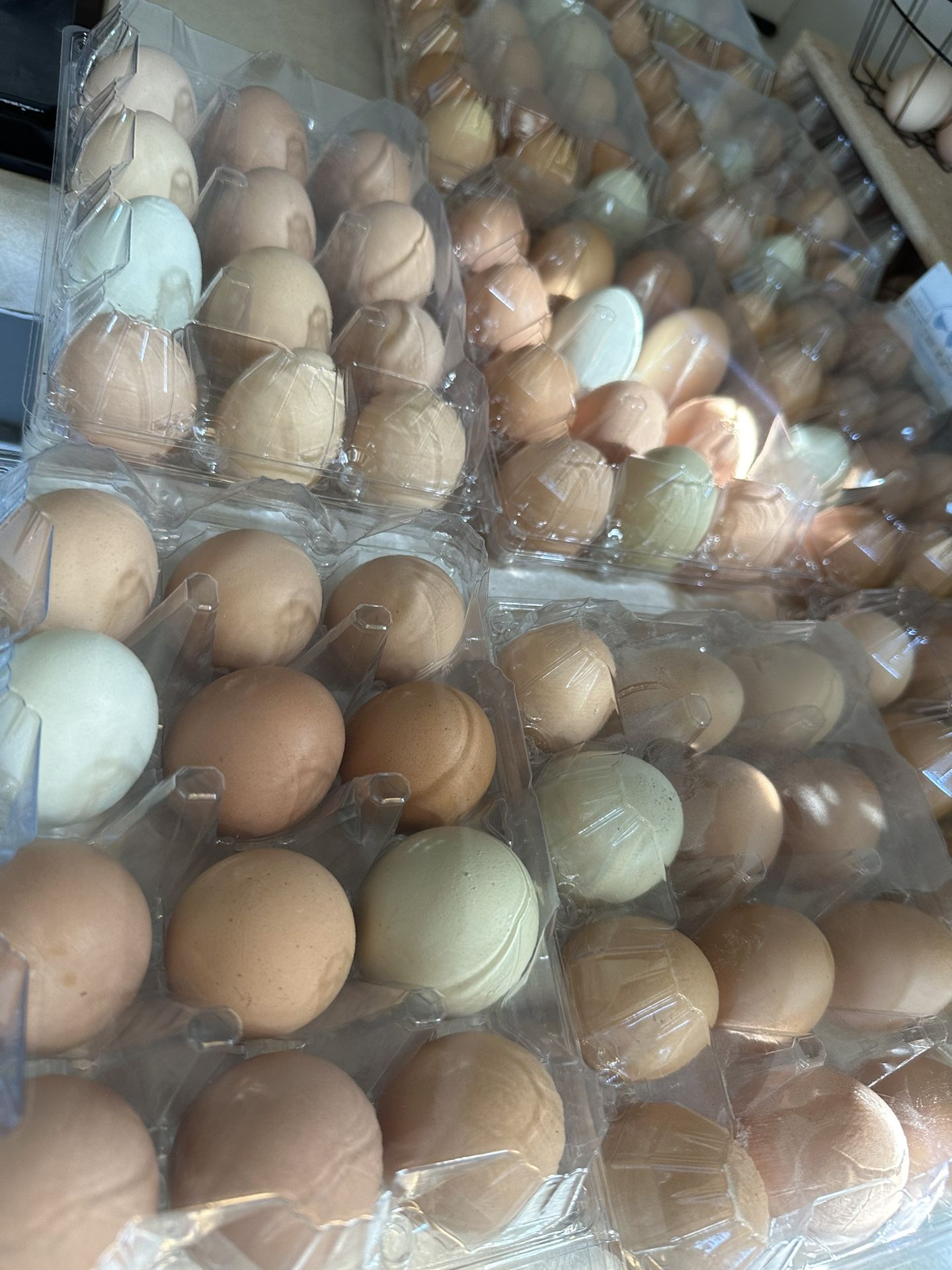 Eggs For Sale