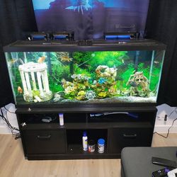 55 Gallon Fish Tank With All The Needed Equipment 